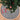Black and white circle-shaped Christmas tree skirt holiday decorations